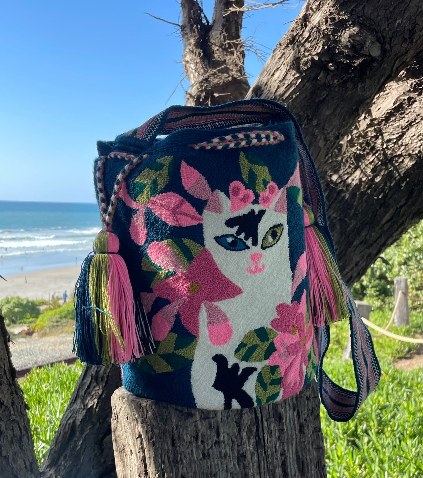Ms. KITTY
