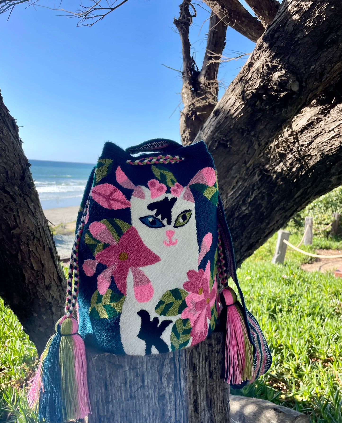 Ms. KITTY