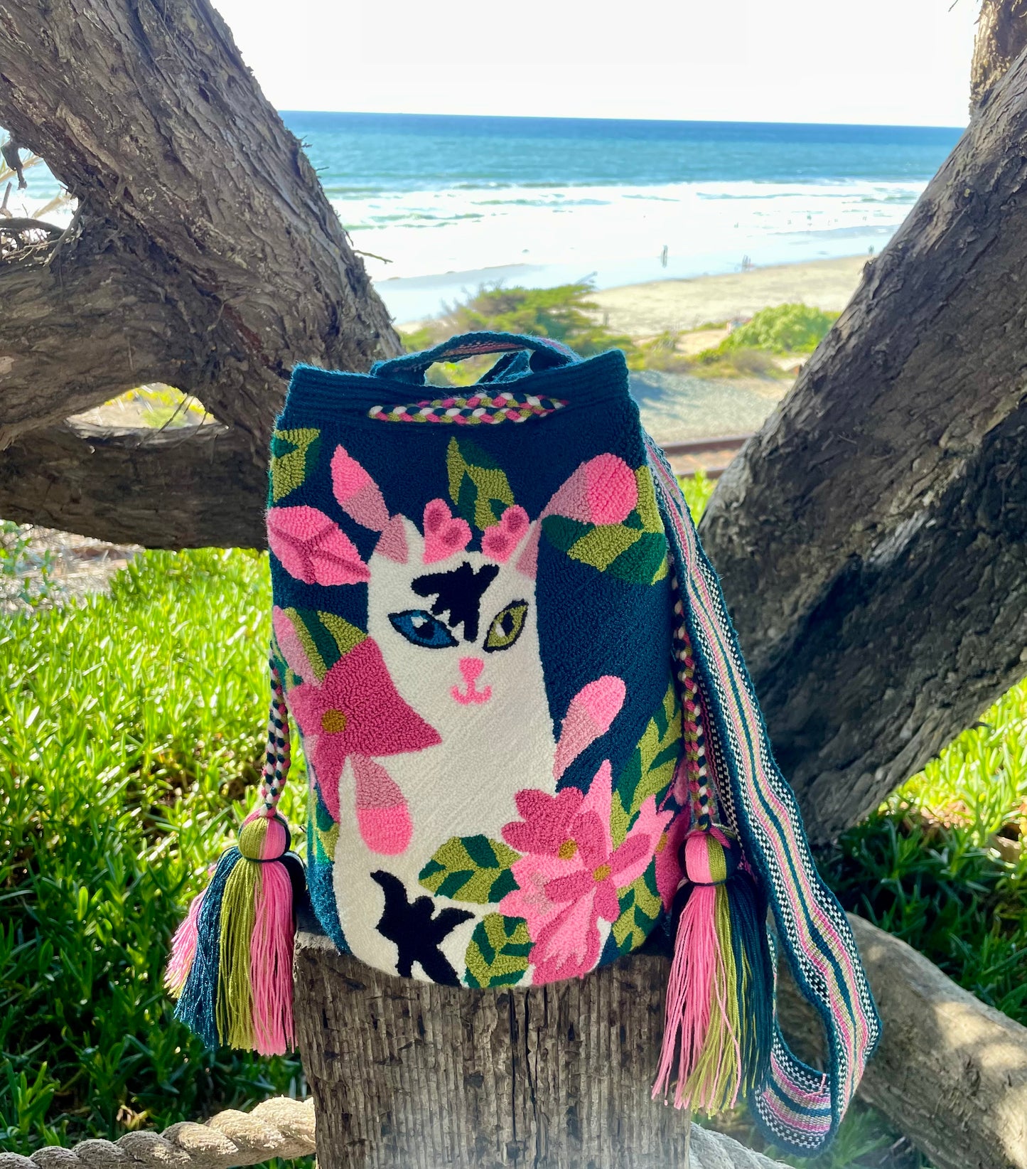 Ms. KITTY