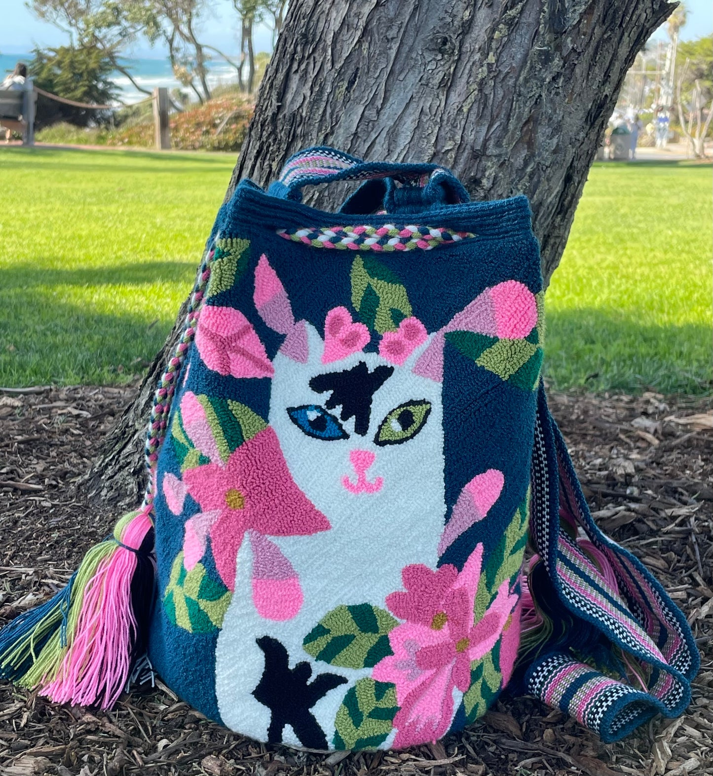 Ms. KITTY